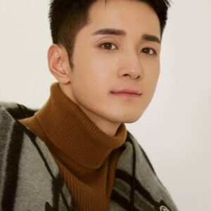 تصویر هنرمند He Fengtian