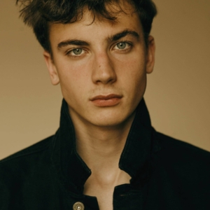 تصویر هنرمند Guy Remmers