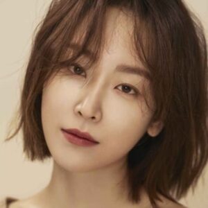 تصویر هنرمند Seo Hyun-jin