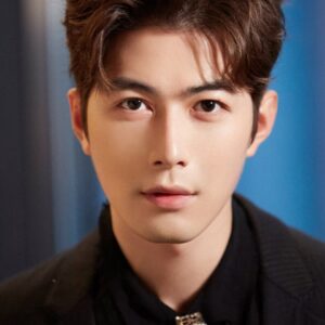 تصویر هنرمند Chen Xuedong