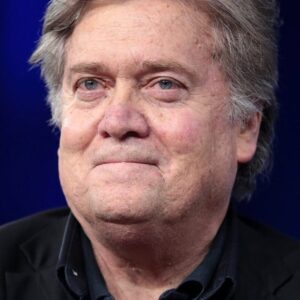 تصویر هنرمند Steve Bannon