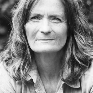 تصویر هنرمند Anna Tulestedt