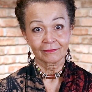 تصویر هنرمند Lizan Mitchell