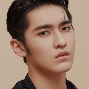 تصویر هنرمند Wu Chongxuan