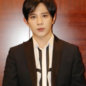 تصویر هنرمند Yang Tong