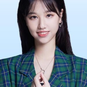 تصویر هنرمند Meng Huiyuan