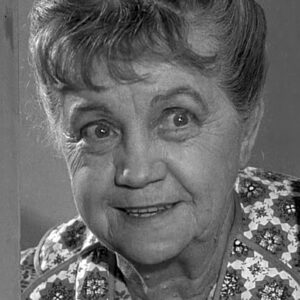 تصویر هنرمند Cheerio Meredith