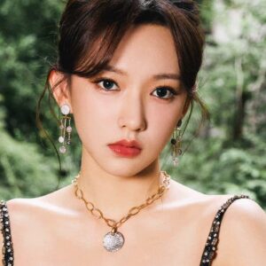 تصویر هنرمند Cheng Xiao