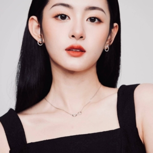 تصویر هنرمند Zhao Qing