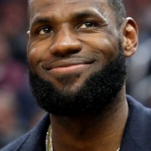 تصویر هنرمند LeBron James