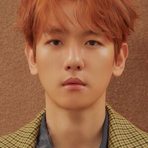 تصویر هنرمند Baekhyun