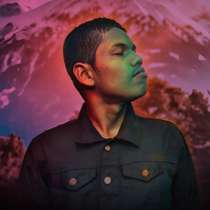 تصویر هنرمند Shashwad Babalgaon