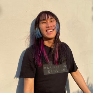 تصویر هنرمند Chonlasit Upanigkit