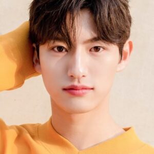 تصویر هنرمند Son Hyun-woo