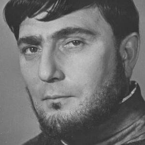 تصویر هنرمند Nodar Shashigoglu