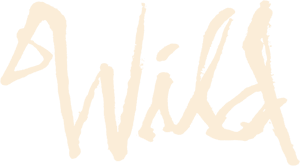 لوگوی رسمی فیلم Wild (2014)