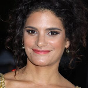 تصویر هنرمند Ashley Dyke