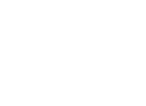 لوگوی رسمی فیلم The Brutalist (2024)