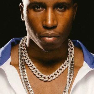 تصویر هنرمند Bosh