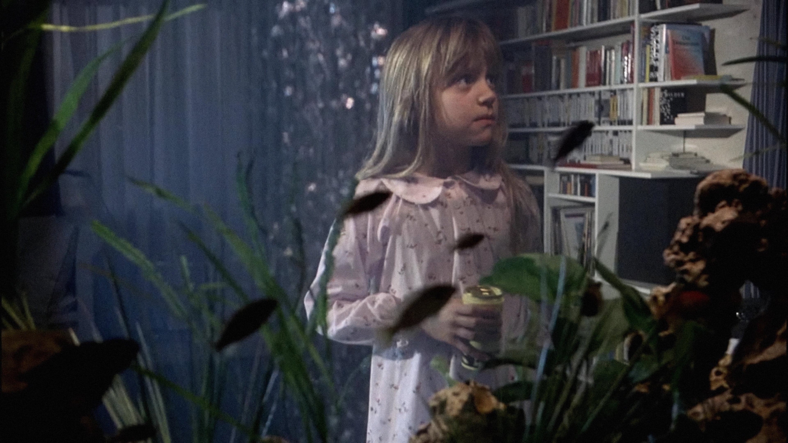 Teaser for The Seventh Continent