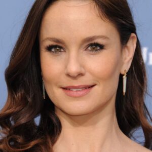 تصویر هنرمند Sarah Wayne Callies