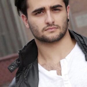 تصویر هنرمند Giuseppe Bausilio