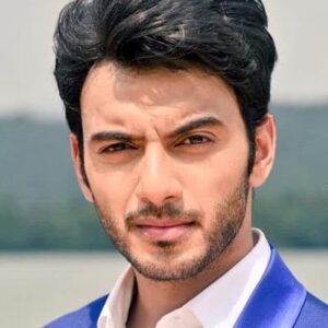 تصویر هنرمند Vikram Singh Chauhan