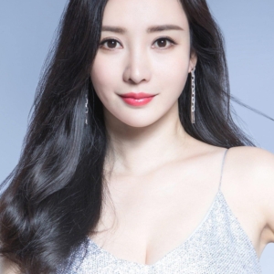 تصویر هنرمند Liu Yan