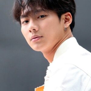 تصویر هنرمند Wu Nien-hsuan