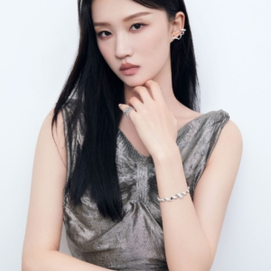 تصویر هنرمند Wang Jiayi