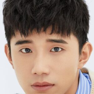 تصویر هنرمند Zhao Renjie