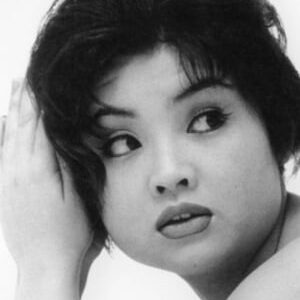 تصویر هنرمند Masumi Harukawa