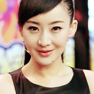 تصویر هنرمند Mai Hongmei