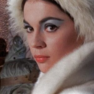 تصویر هنرمند Virginia North