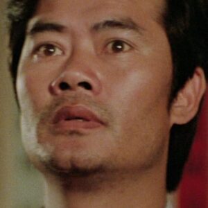 تصویر هنرمند Lam Tit-Ching