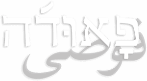 لوگوی رسمی سریال Fauda (2015)