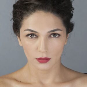 تصویر هنرمند Şebnem Hassanisoughi