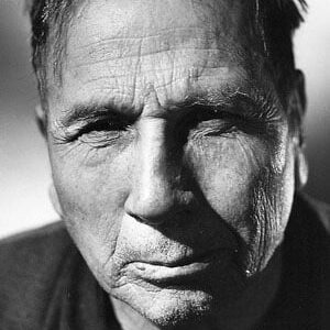 تصویر هنرمند Tom Wilson