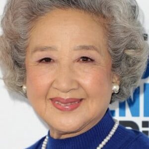 تصویر هنرمند Zhao Shuzhen