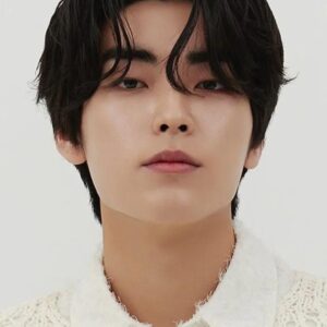 تصویر هنرمند Kim Su-gyeom