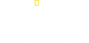 لوگوی رسمی فیلم Expedition Amazon (2024)