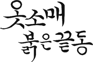 Official logo for سریال The Red Sleeve (2021)