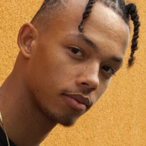 تصویر هنرمند Melvin Boomer