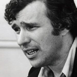 تصویر هنرمند Sidney J. Furie