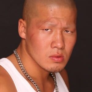 تصویر هنرمند Wataru Ichinose