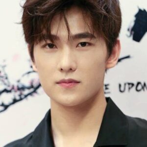 تصویر هنرمند Yang Yang