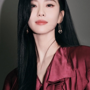 تصویر هنرمند Liu Shishi