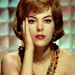 تصویر هنرمند Perrette Pradier