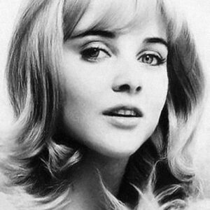 تصویر هنرمند Sue Lyon