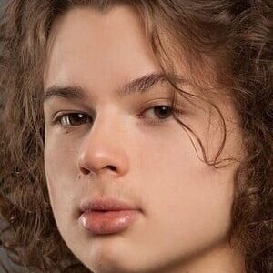 تصویر هنرمند Daniil Chibrikov